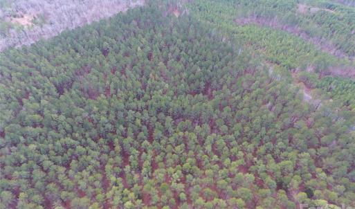 Photo #13 of 734 Great North, Winnsboro, SC