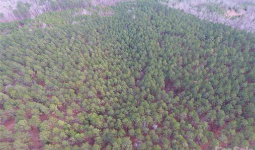 Photo #11 of 734 Great North, Winnsboro, SC