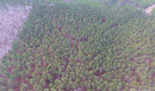 Photo #15 of 734 Great North, Winnsboro, SC