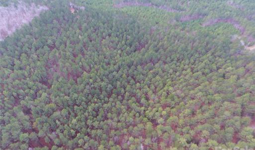 Photo #14 of 734 Great North, Winnsboro, SC