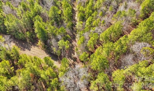 Photo #6 of Shannon, Blackstock, SC