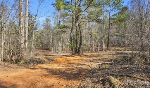 Photo #34 of Shannon, Blackstock, SC