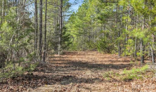 Photo #41 of Shannon, Blackstock, SC