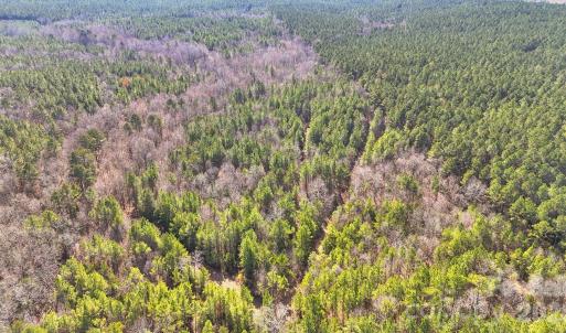 Photo #2 of Shannon, Blackstock, SC