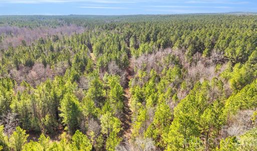 Photo #16 of Shannon, Blackstock, SC