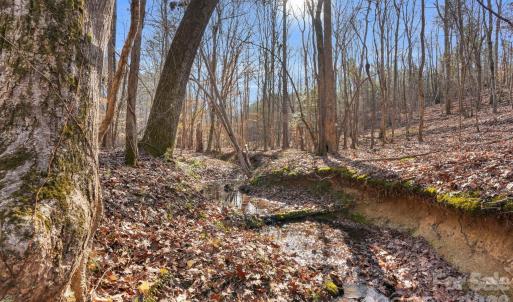 Photo #23 of Shannon, Blackstock, SC