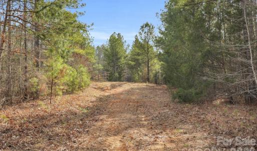 Photo #42 of Shannon, Blackstock, SC