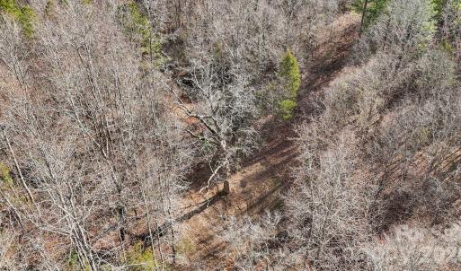 Photo #14 of Shannon, Blackstock, SC