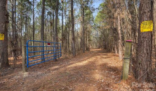 Photo #10 of Shannon, Blackstock, SC