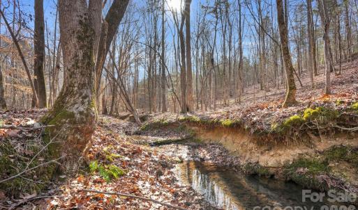 Photo #1 of Shannon, Blackstock, SC