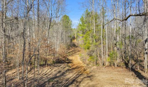 Photo #9 of Shannon, Blackstock, SC