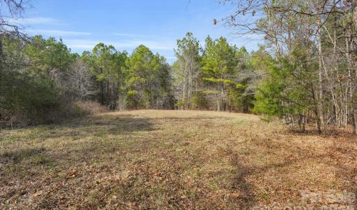 Photo #15 of Shannon, Blackstock, SC