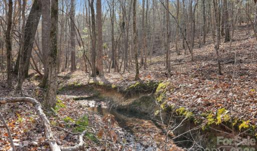 Photo #7 of Shannon, Blackstock, SC