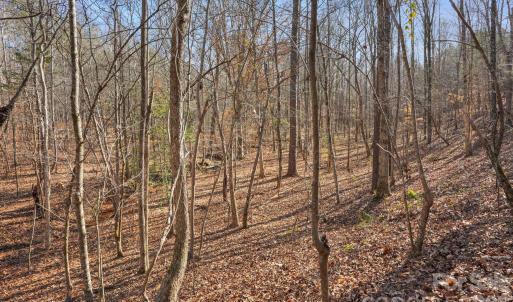 Photo #28 of Shannon, Blackstock, SC