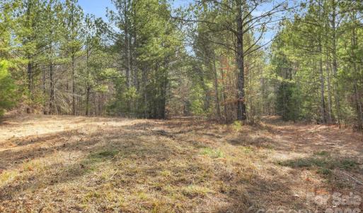 Photo #44 of Shannon, Blackstock, SC