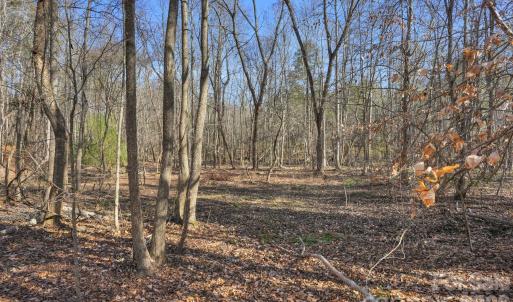 Photo #36 of Shannon, Blackstock, SC