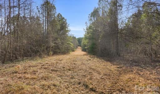 Photo #21 of Shannon, Blackstock, SC