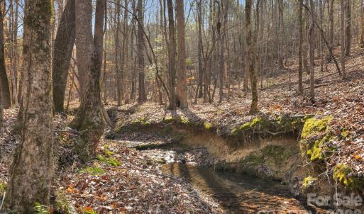 Photo #22 of Shannon, Blackstock, SC