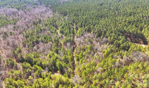 Photo #8 of Shannon, Blackstock, SC