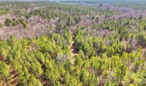 Photo #12 of Shannon, Blackstock, SC