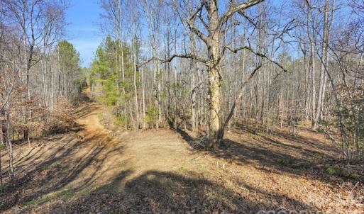 Photo #35 of Shannon, Blackstock, SC