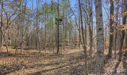 Photo #13 of Shannon, Blackstock, SC