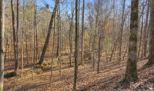 Photo #27 of Shannon, Blackstock, SC