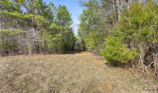 Photo #46 of Shannon, Blackstock, SC