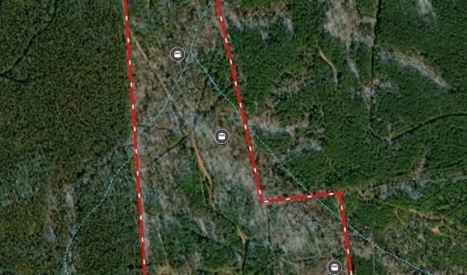 Photo #5 of Shannon, Blackstock, SC