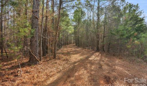 Photo #47 of Shannon, Blackstock, SC