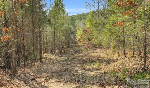 Photo #40 of Shannon, Blackstock, SC