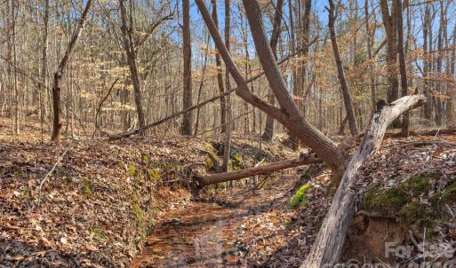 Photo #24 of Shannon, Blackstock, SC