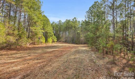 Photo #17 of Shannon, Blackstock, SC