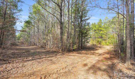 Photo #11 of Shannon, Blackstock, SC