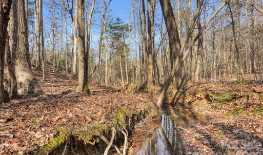 Photo #26 of Shannon, Blackstock, SC