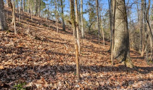 Photo #31 of Shannon, Blackstock, SC