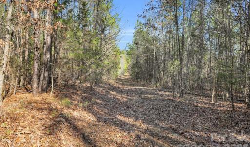 Photo #38 of Shannon, Blackstock, SC