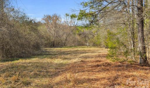 Photo #45 of Shannon, Blackstock, SC