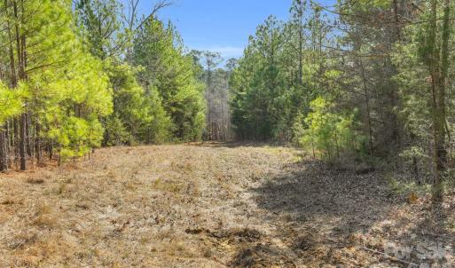 Photo #39 of Shannon, Blackstock, SC