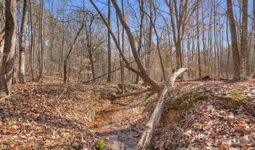 Photo #25 of Shannon, Blackstock, SC