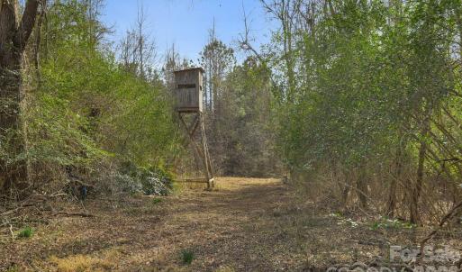 Photo #20 of Shannon, Blackstock, SC