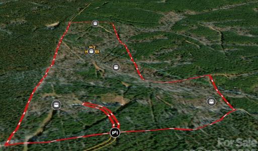 Photo #19 of Shannon, Blackstock, SC