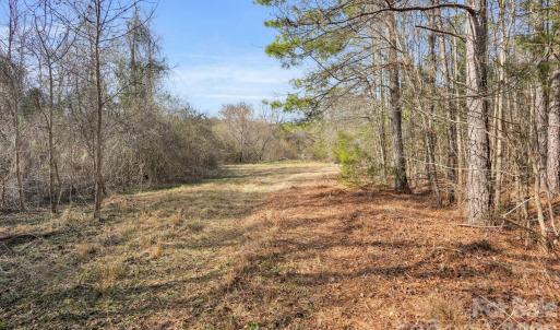 Photo #37 of Shannon, Blackstock, SC