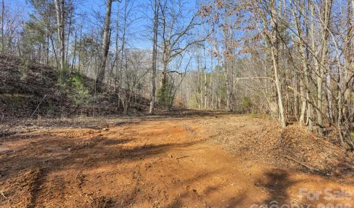 Photo #33 of Shannon, Blackstock, SC