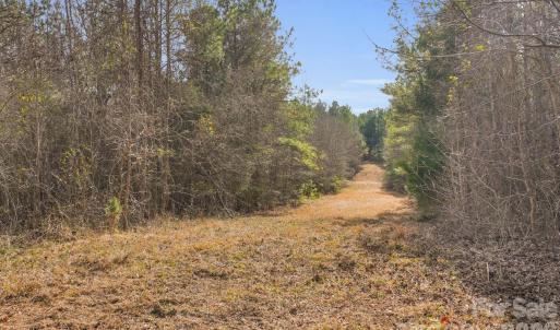 Photo #4 of Shannon, Blackstock, SC