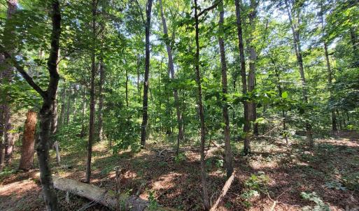 Photo #2 of 7908 Concord, Monroe, NC