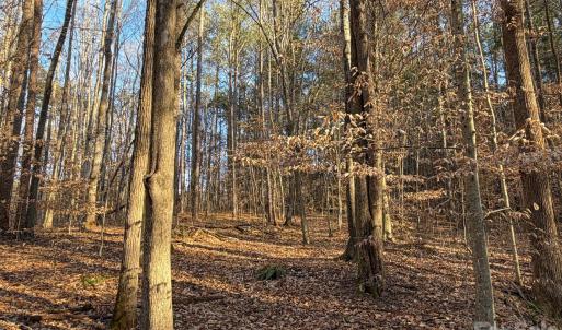 Photo #6 of Kepley, Salisbury, NC