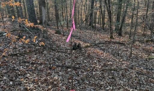 Photo #11 of Kepley, Salisbury, NC