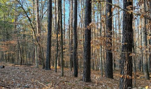 Photo #5 of Kepley, Salisbury, NC