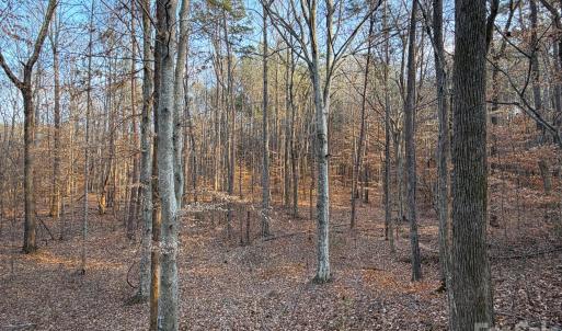 Photo #13 of Kepley, Salisbury, NC